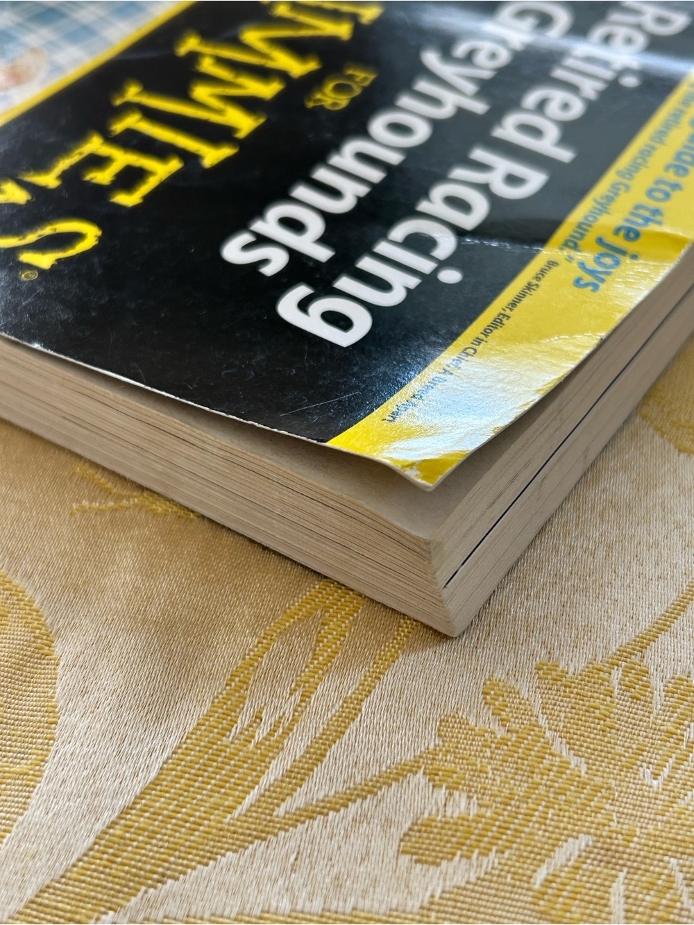 Retired Racing Greyhounds for Dummies - Picture 7 of 7